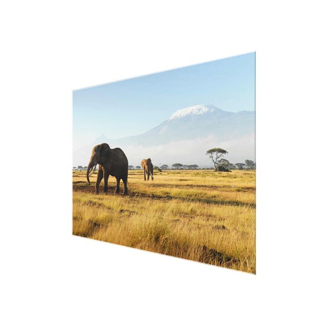 Glasbild Berg Elefanten vor dem Kilimanjaro in Kenya