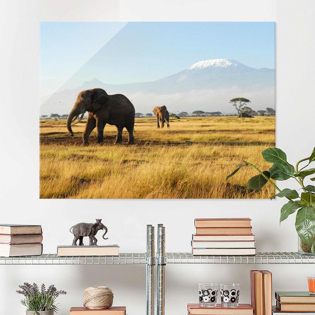 Wandbilder Elefanten Elefanten vor dem Kilimanjaro in Kenya