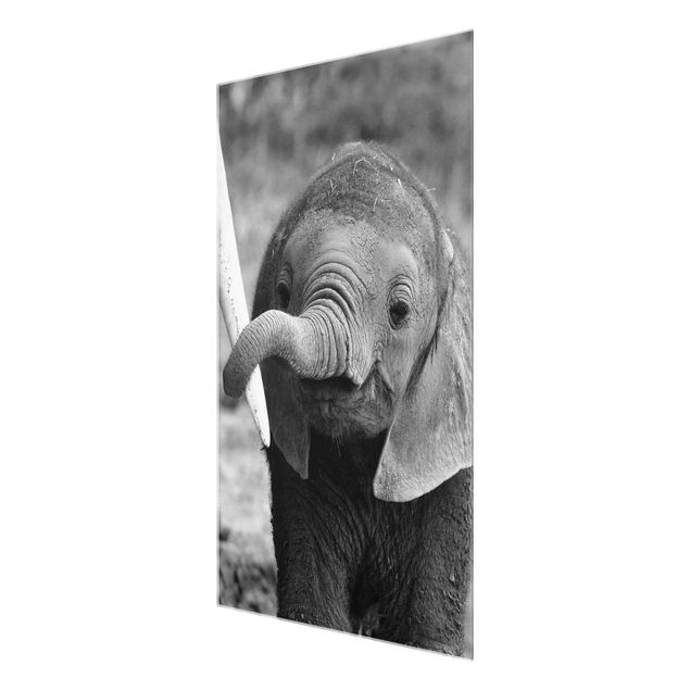 Wanddeko Treppenhaus Elefantenbaby
