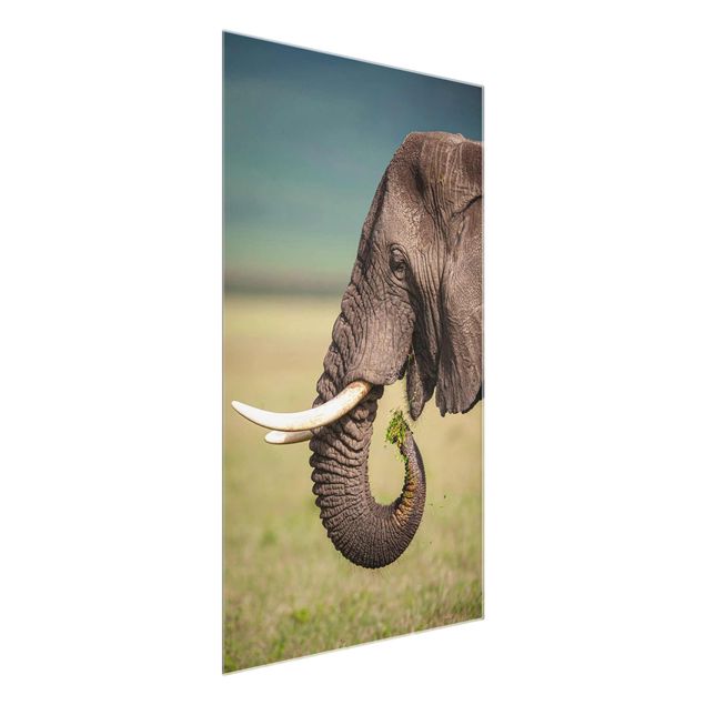 Wanddeko Esszimmer Elefantenfütterung Afrika