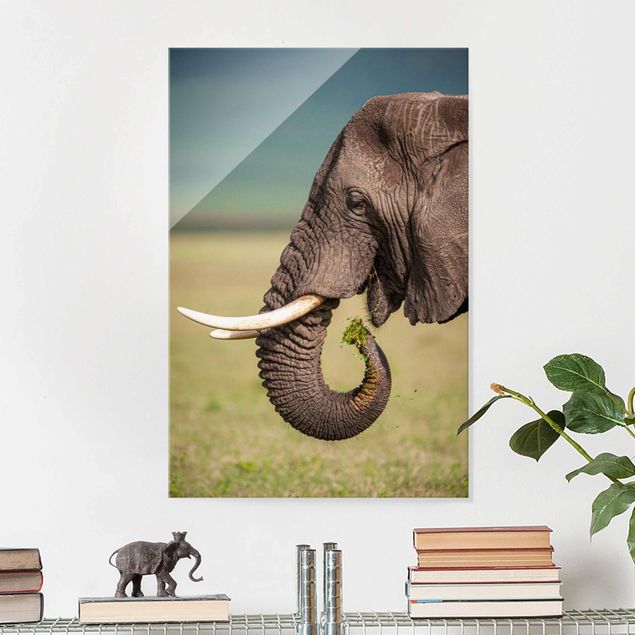 Wandbilder Elefanten Elefantenfütterung Afrika