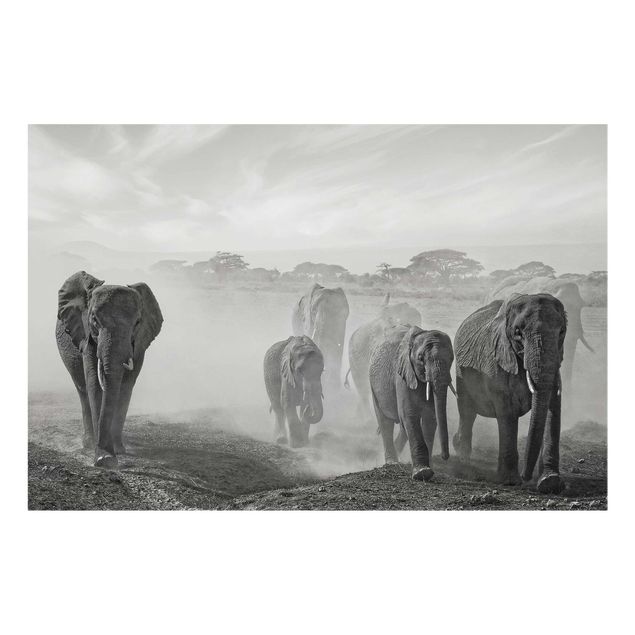 Wanddeko Büro Elefantenherde
