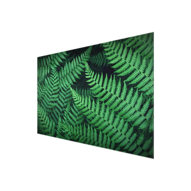Wanddeko grün Farn