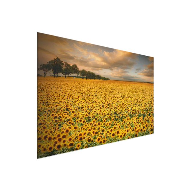 Wanddeko Schlafzimmer Feld mit Sonnenblumen