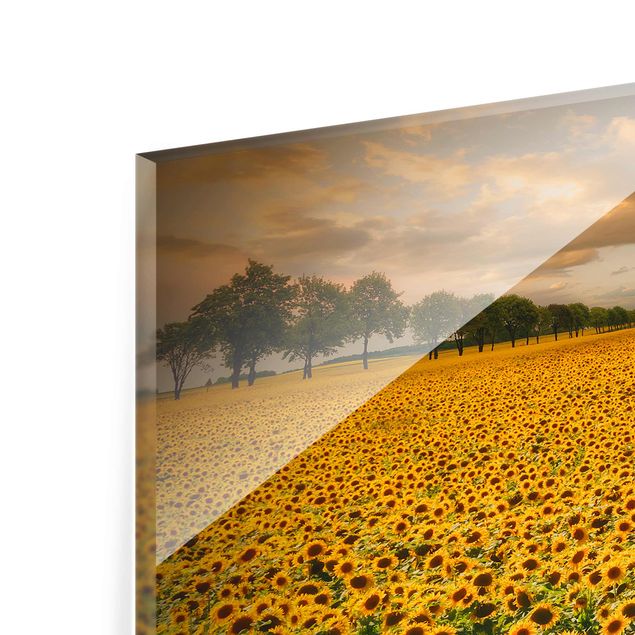 Wanddeko Esszimmer Feld mit Sonnenblumen