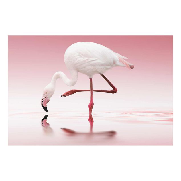 Wanddeko rosa Flamingo Dance