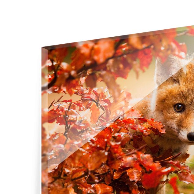 Wanddeko über Sofa Fuchs im Herbst