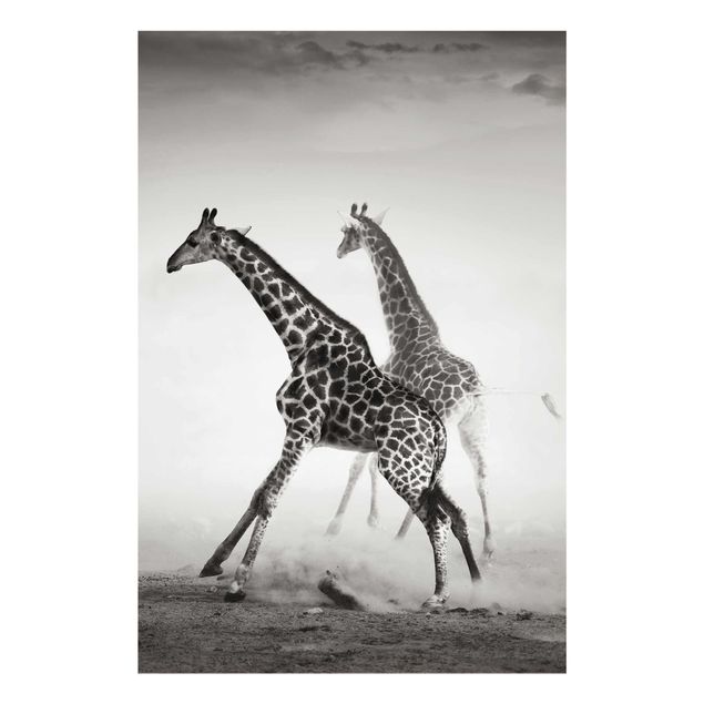 Wanddeko Büro Giraffenjagd