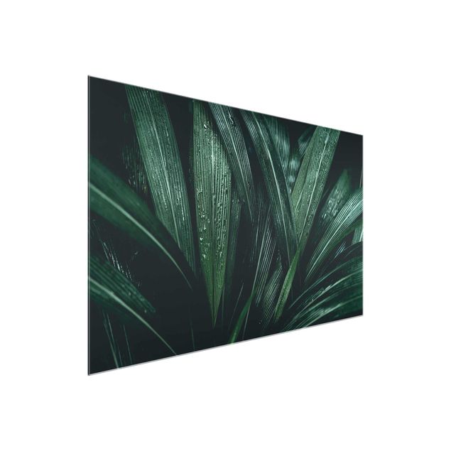 Wanddeko Flur Grüne Palmenblätter