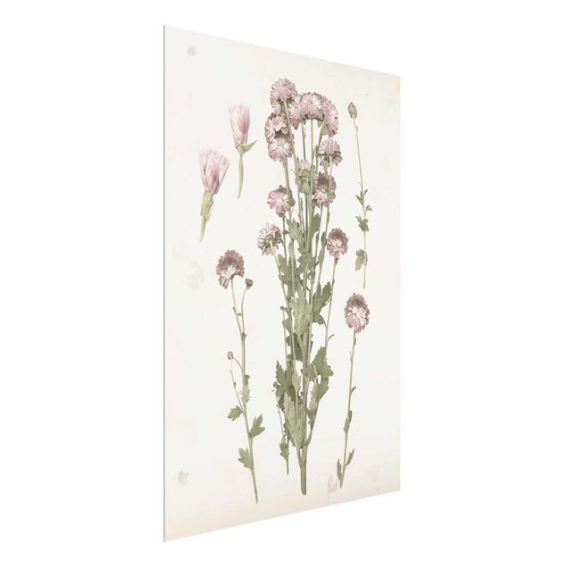 Wanddeko Esszimmer Herbarium in rosa I