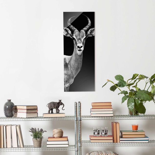 Wanddeko Esszimmer Impala Antilope schwarz-weiss