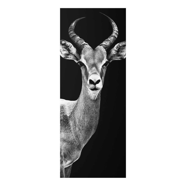 Wanddeko Treppenhaus Impala Antilope schwarz-weiss