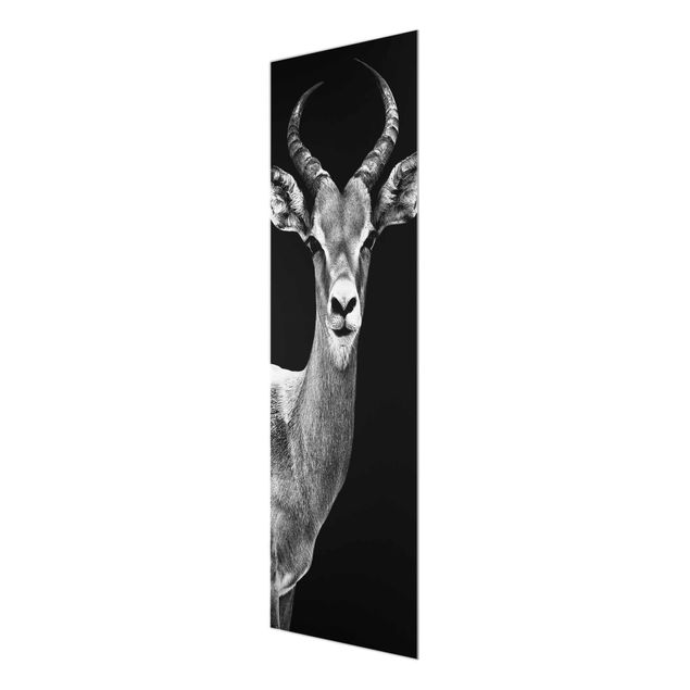 Wanddeko über Sofa Impala Antilope schwarz-weiss