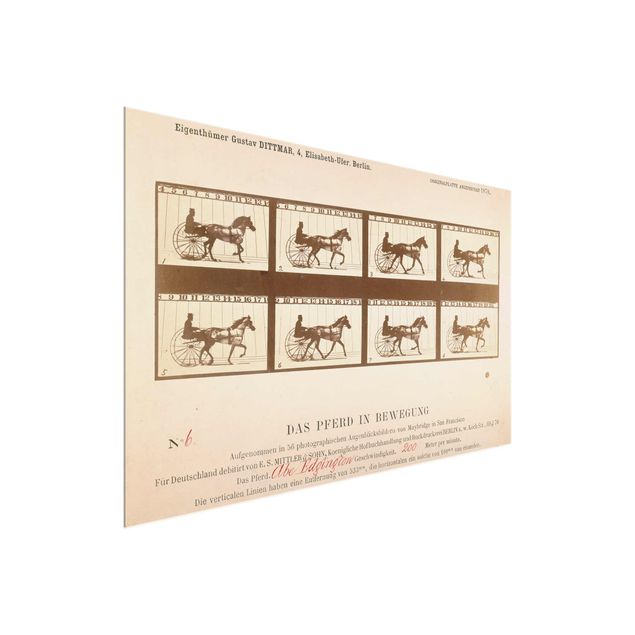 Wanddeko Esszimmer Eadweard Muybridge - Das Pferd in Bewegung