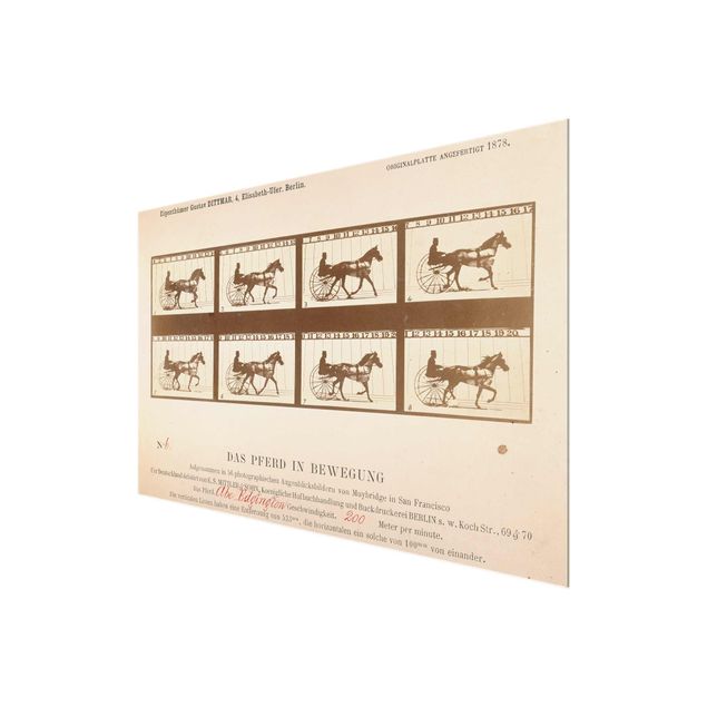 Kunststile Eadweard Muybridge - Das Pferd in Bewegung
