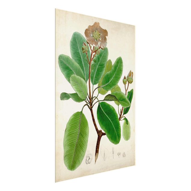 Wanddeko grün Laubbaum Schautafel VI