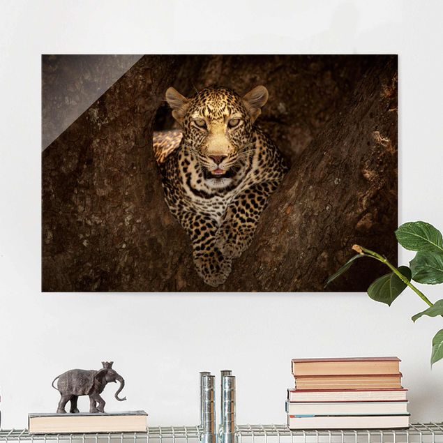 Wanddeko braun Leopard ruht auf einem Baum