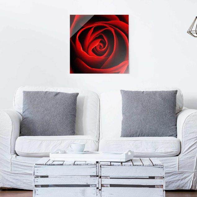 Wanddeko Schlafzimmer Liebliche Rose