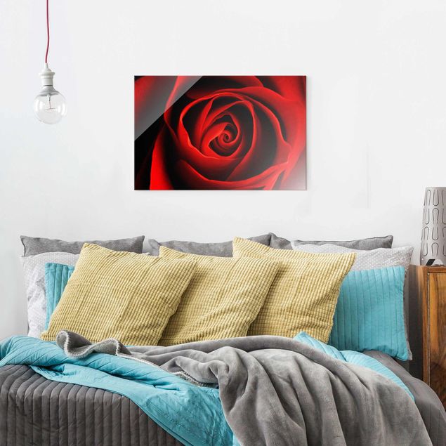 Wanddeko Schlafzimmer Liebliche Rose