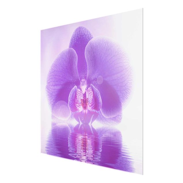 Wanddeko Flur Lila Orchidee auf Wasser