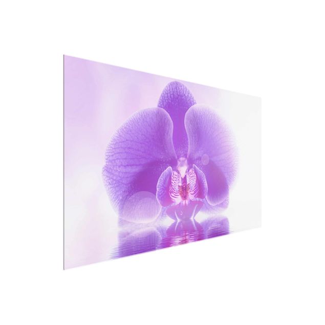 Wanddeko Schlafzimmer Lila Orchidee auf Wasser
