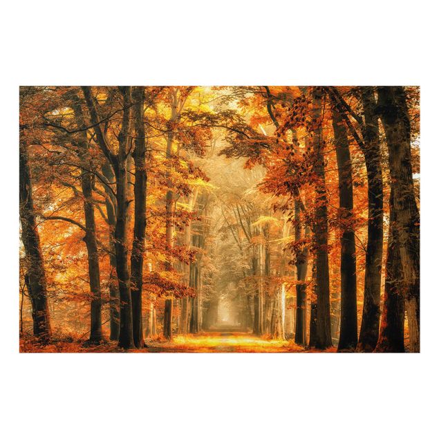 Wanddeko orange Märchenwald im Herbst