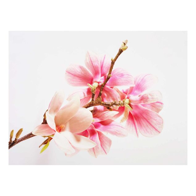 Wanddeko Esszimmer Magnolienblüten