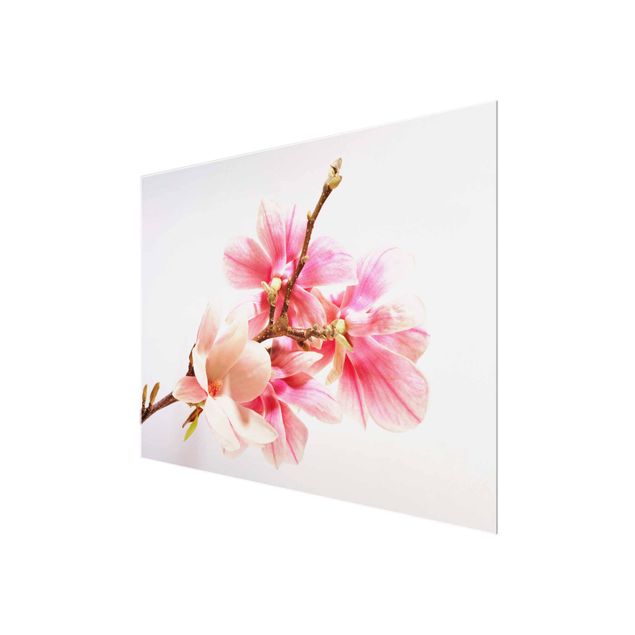 Wanddeko Büro Magnolienblüten