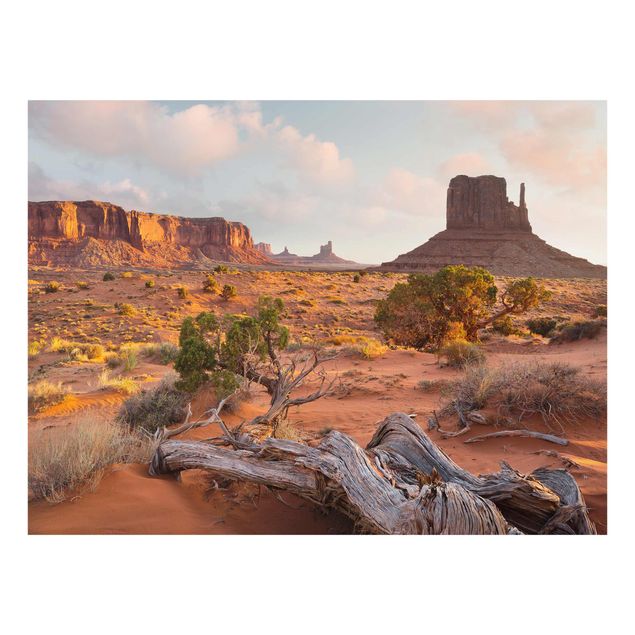 Wanddeko orange Monument Valley Navajo Tribal Park Arizona