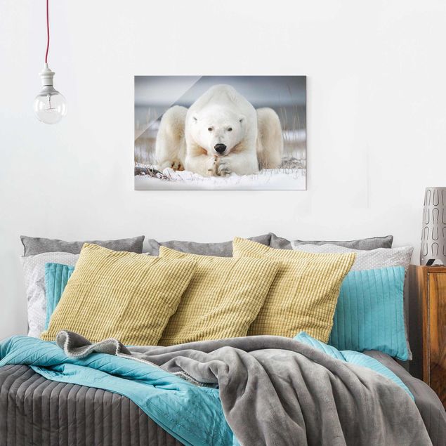 Wanddeko Schlafzimmer Nachdenklicher Eisbär