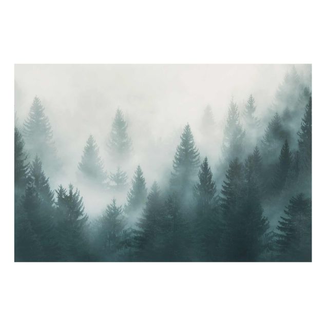 Wanddeko Büro Nadelwald im Nebel