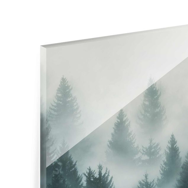 Wanddeko über Sofa Nadelwald im Nebel