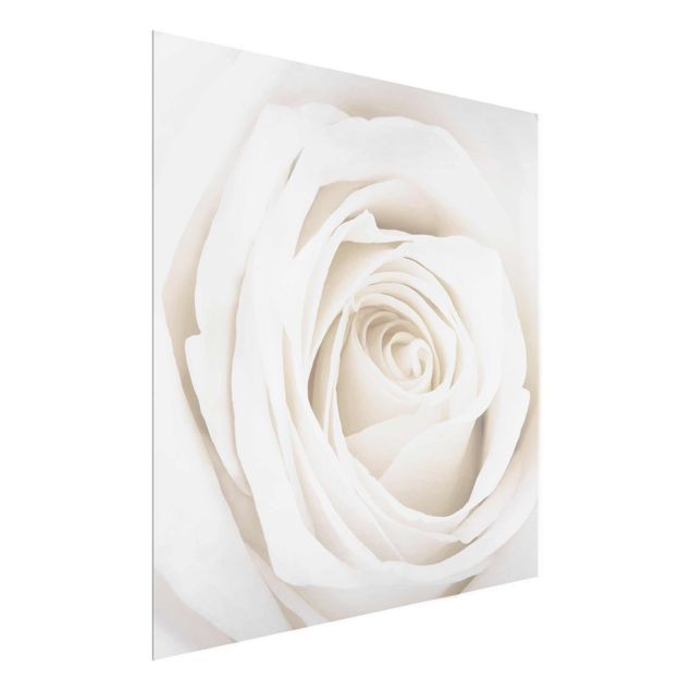 Deko Botanik Pretty White Rose