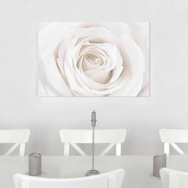 Glasbilder Rose Pretty White Rose