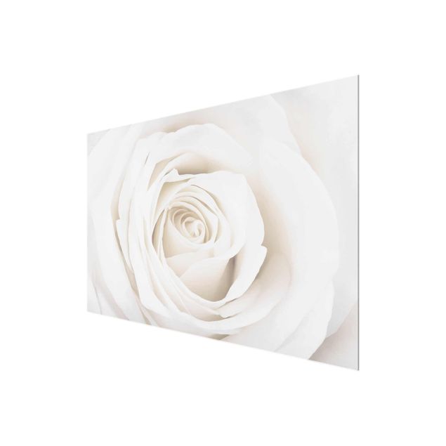 Wohndeko Blume Pretty White Rose
