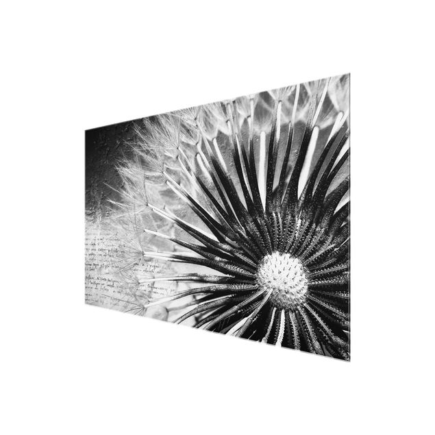 Wanddeko Esszimmer Pusteblume Schwarz & Weiß