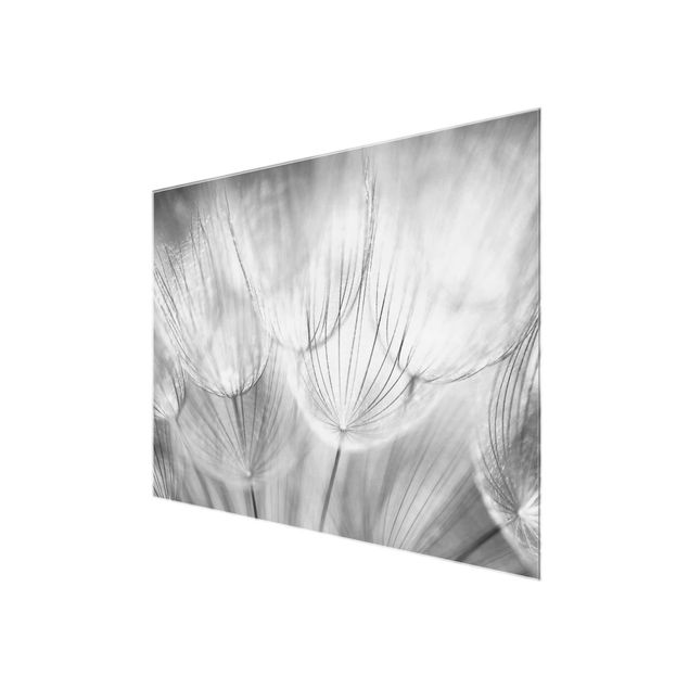 Wanddeko Esszimmer Pusteblumen Makroaufnahme in schwarz weiss