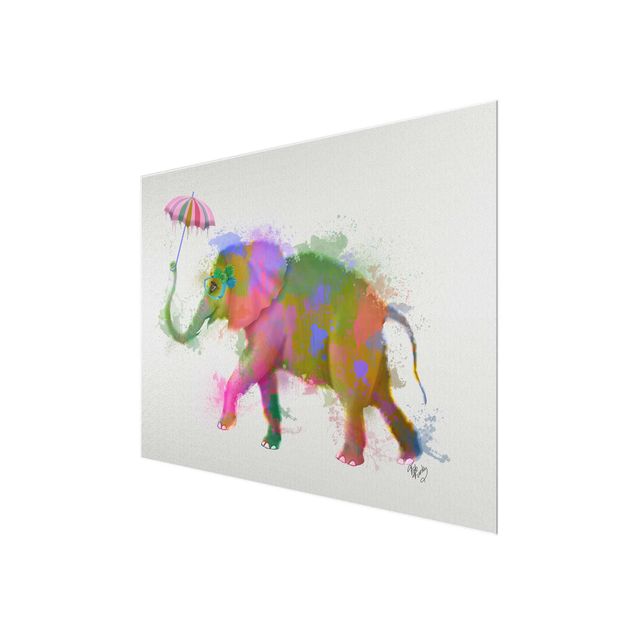 Wanddeko Jungenzimmer Regenbogen Splash Elefant