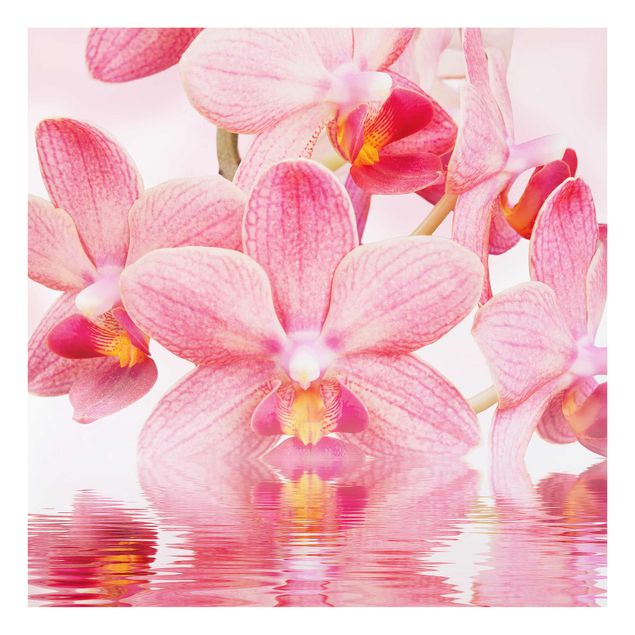 Wanddeko Blume Rosa Orchideen auf Wasser