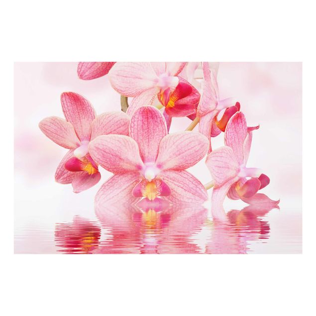 Wanddeko Blume Rosa Orchideen auf Wasser