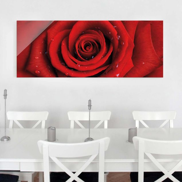 Glasbilder Rosen Rote Rose mit Wassertropfen