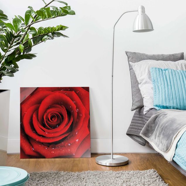 Wanddeko Schlafzimmer Rote Rose mit Wassertropfen
