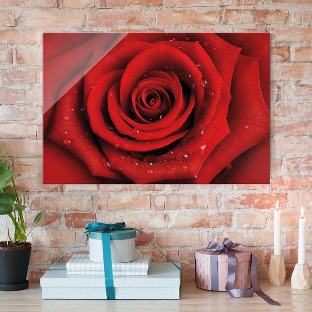 Glasbilder Rose Rote Rose mit Wassertropfen