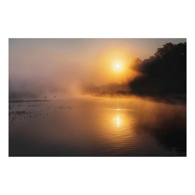 Wanddeko Büro Sonnenaufgang am See mit Rehen im Nebel