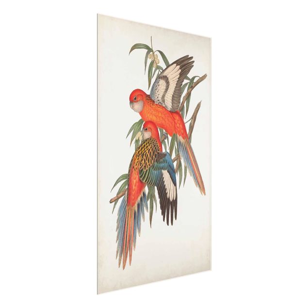 Wanddeko Esszimmer Tropische Papageien I