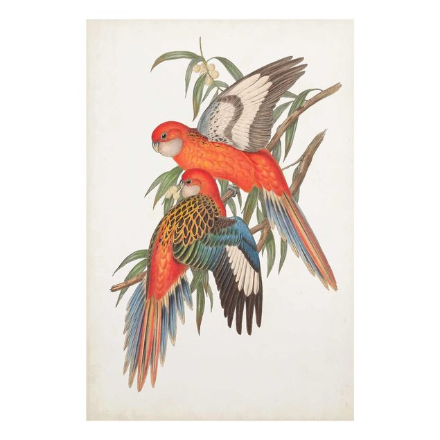 Wanddeko Büro Tropische Papageien I