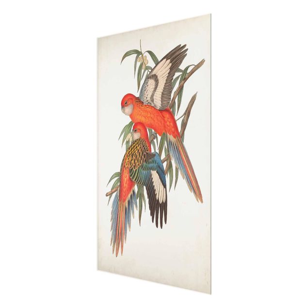 Wanddeko Treppenhaus Tropische Papageien I