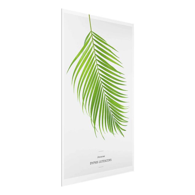 Wanddeko Büro Tropisches Blatt Areca Palme