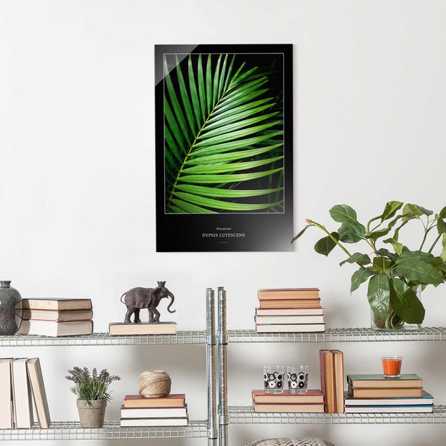 Wanddeko Flur Tropisches Palmblatt