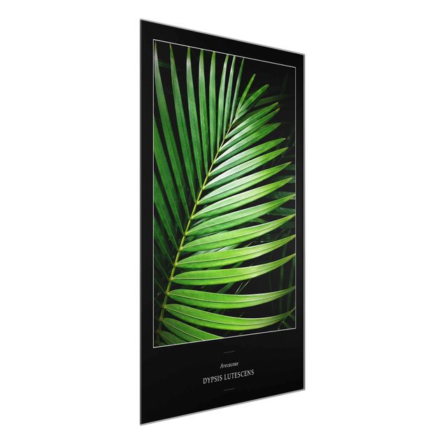 Wanddeko grün Tropisches Palmblatt